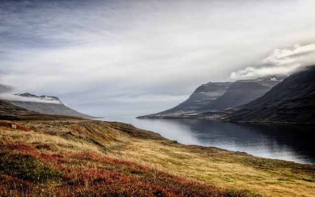 Nature. Desktop wallpaper