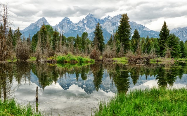 Nature. Desktop wallpaper
