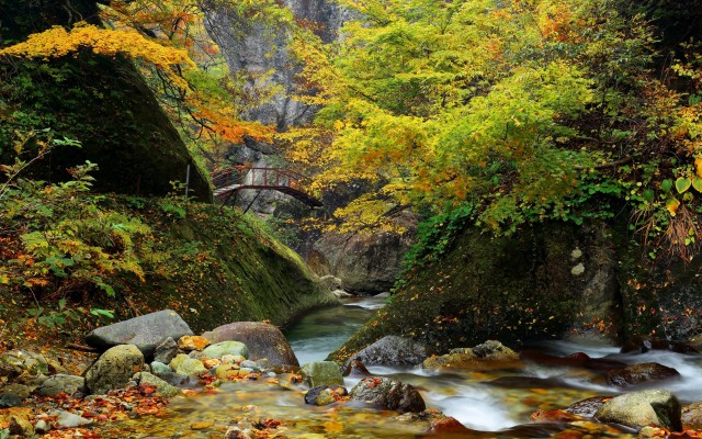 Nature. Desktop wallpaper
