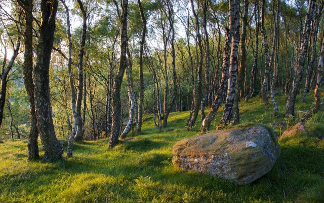 Nature. Desktop wallpaper