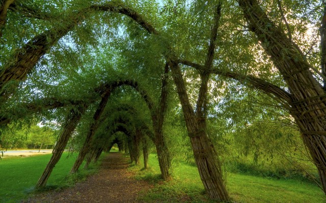 Nature. Desktop wallpaper