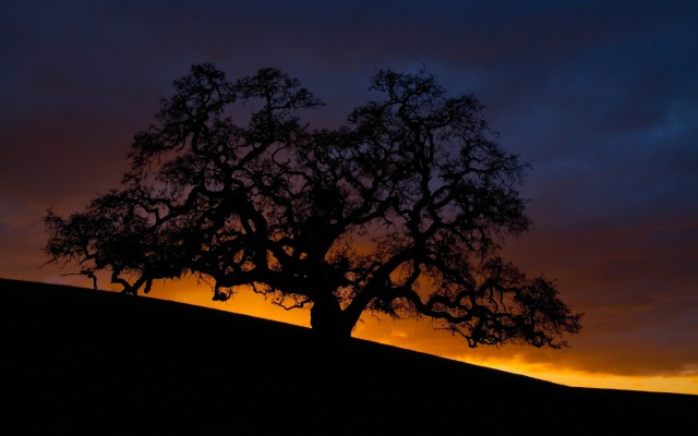 Nature. Desktop wallpaper