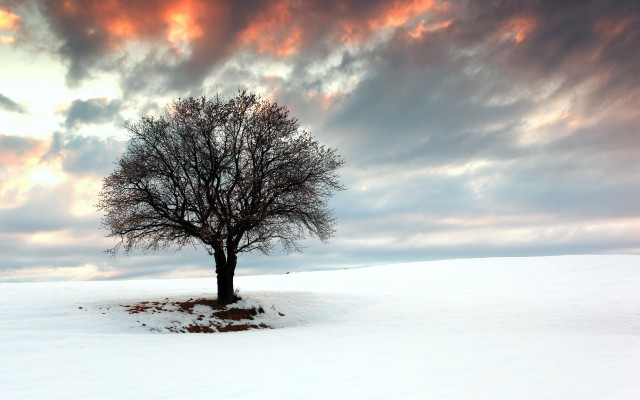 Nature. Desktop wallpaper