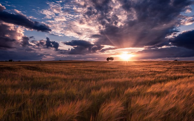 Nature. Desktop wallpaper