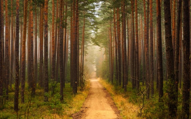 Nature. Desktop wallpaper