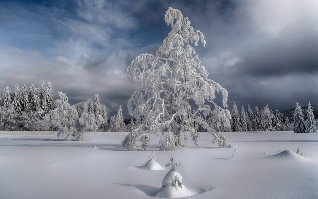 Nature. Desktop wallpaper