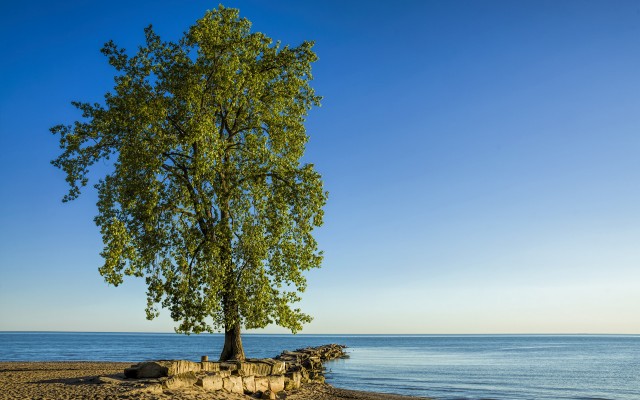 Nature. Desktop wallpaper