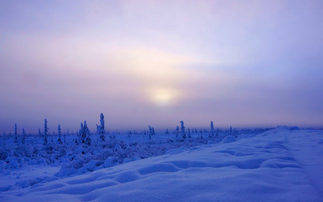 Nature. Desktop wallpaper