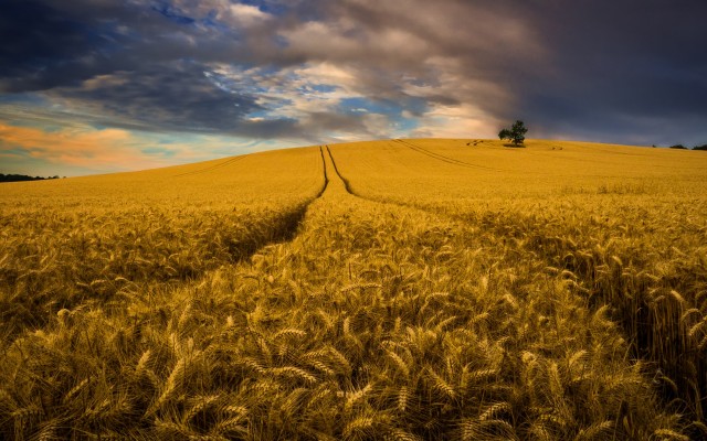 Nature. Desktop wallpaper