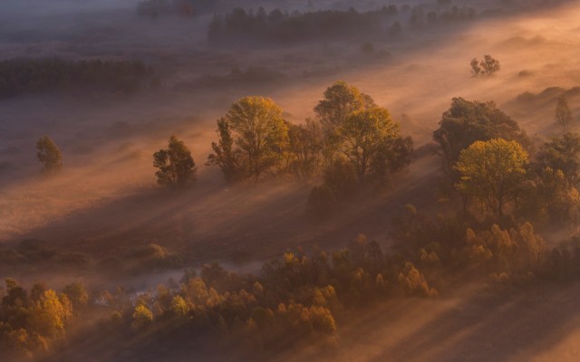 Nature. Desktop wallpaper
