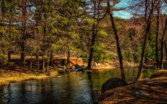 Nature. Desktop wallpaper