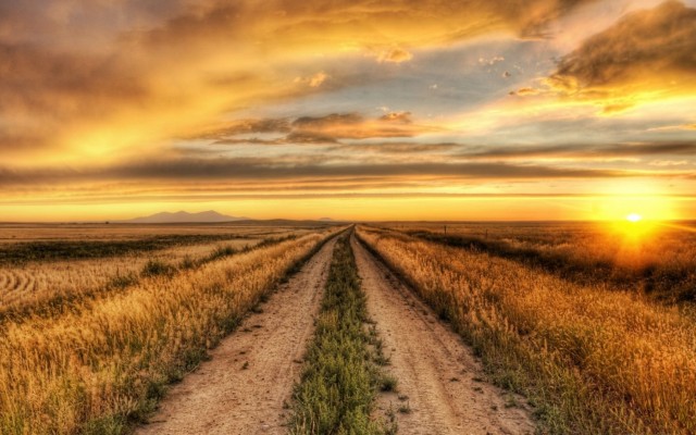 Nature. Desktop wallpaper