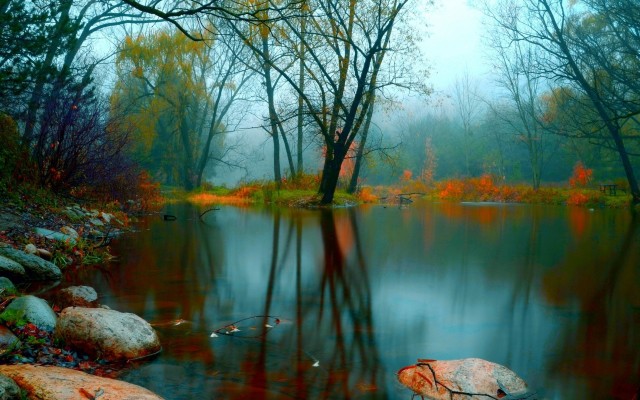 Nature. Desktop wallpaper