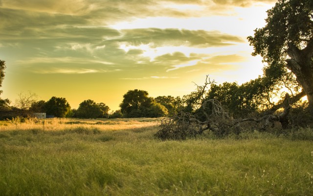 Nature. Desktop wallpaper