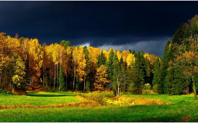 Nature. Desktop wallpaper