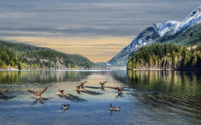Nature. Desktop wallpaper