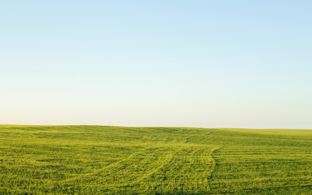 Nature. Desktop wallpaper