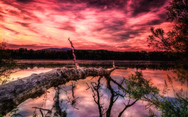 Nature. Desktop wallpaper