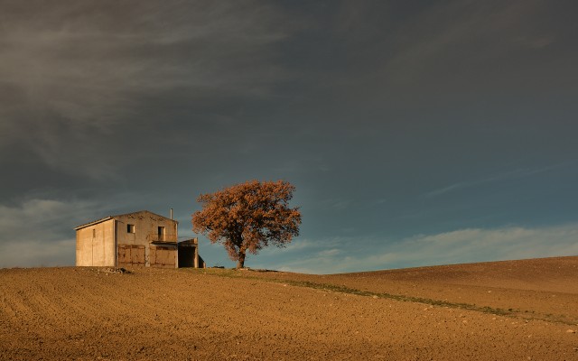 Nature. Desktop wallpaper