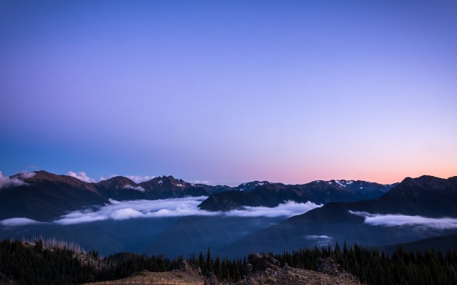 Nature. Desktop wallpaper
