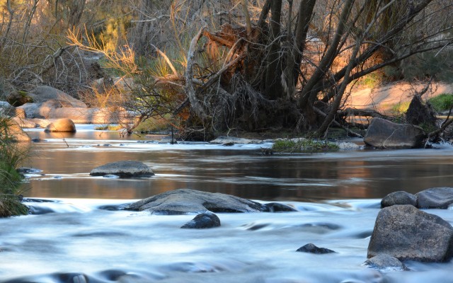 Nature. Desktop wallpaper