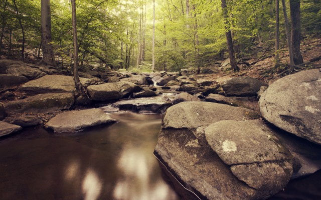 Nature. Desktop wallpaper