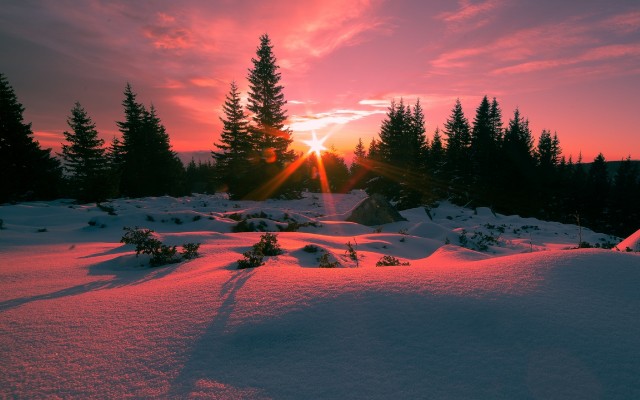 Nature. Desktop wallpaper