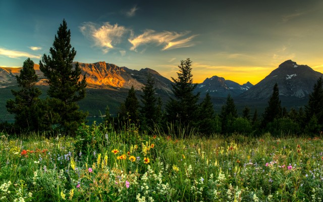 Nature. Desktop wallpaper