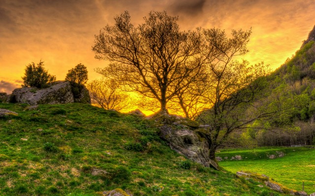 Nature. Desktop wallpaper