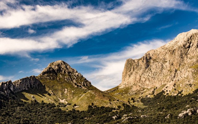Nature. Desktop wallpaper
