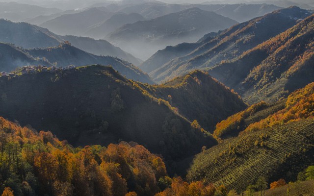 Nature. Desktop wallpaper