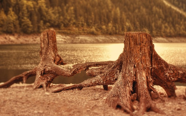 Nature. Desktop wallpaper