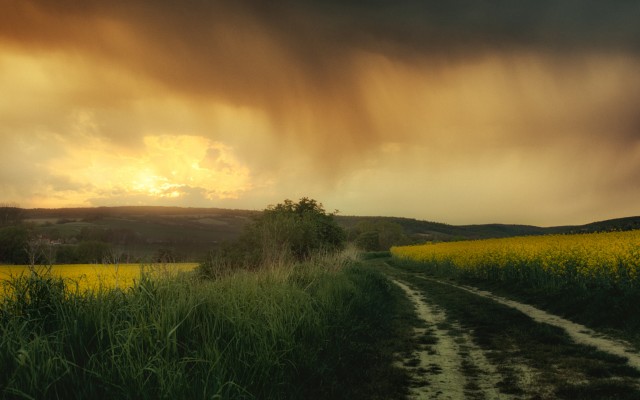 Nature. Desktop wallpaper