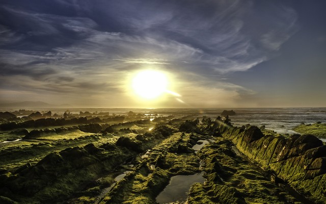 Nature. Desktop wallpaper