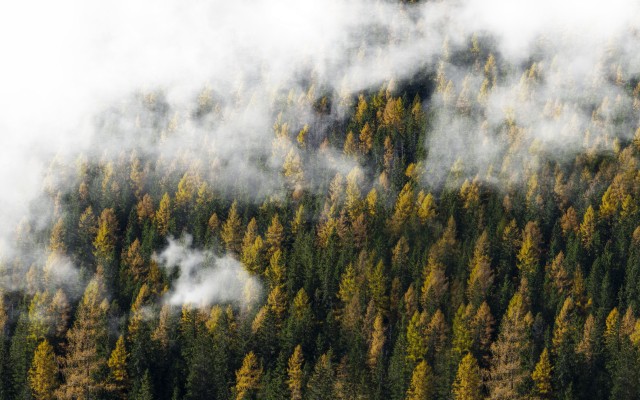 Nature. Desktop wallpaper