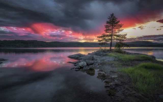 Nature. Desktop wallpaper