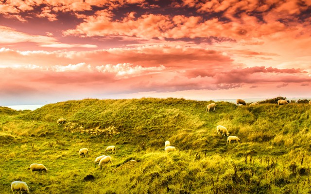 Nature. Desktop wallpaper