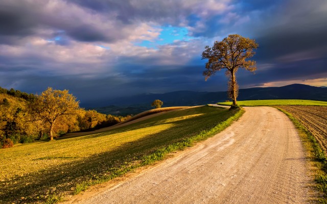 Nature. Desktop wallpaper