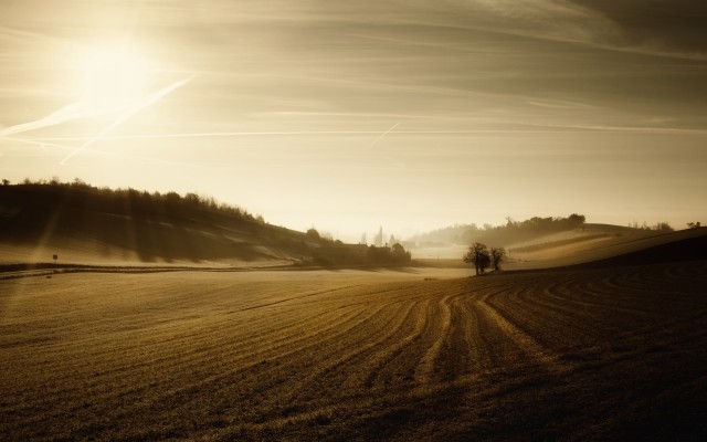 Nature. Desktop wallpaper