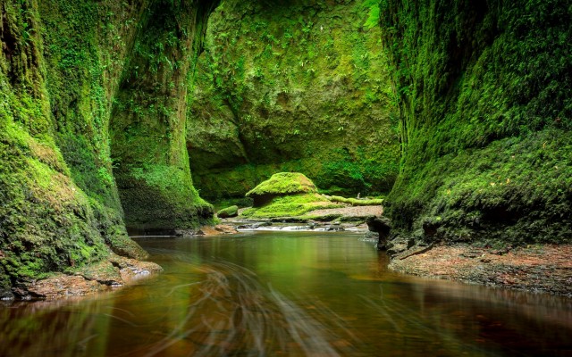 Nature. Desktop wallpaper