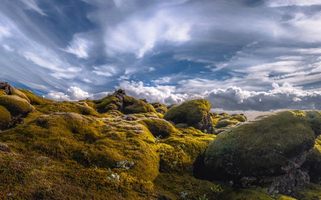 Nature. Desktop wallpaper