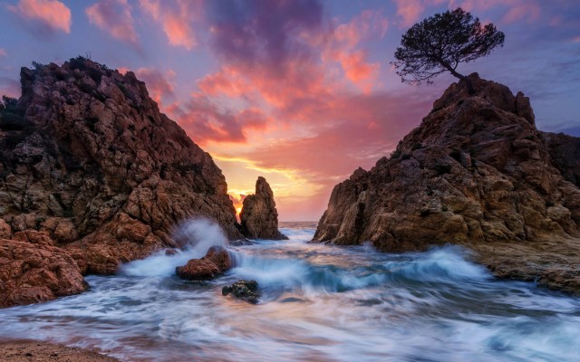 Nature. Desktop wallpaper