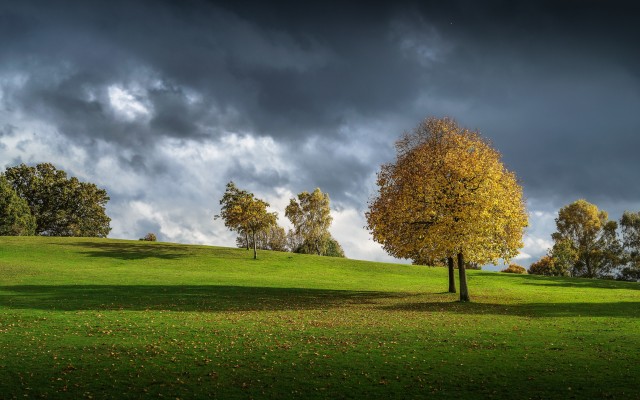 Nature. Desktop wallpaper