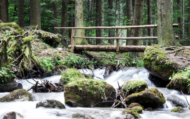 Nature. Desktop wallpaper
