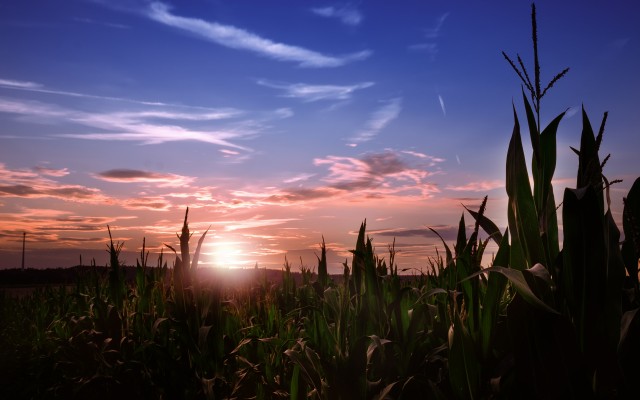 Nature. Desktop wallpaper