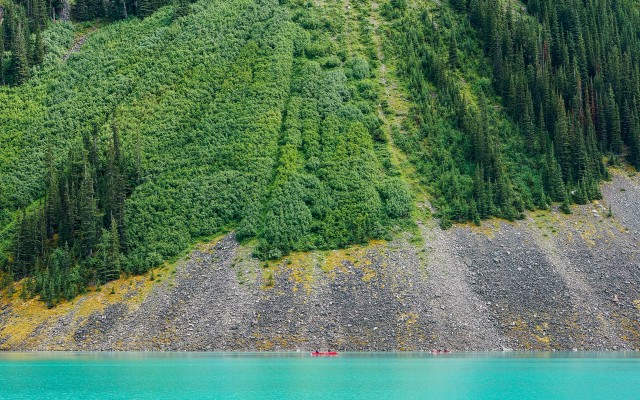 Nature. Desktop wallpaper