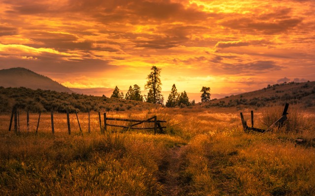 Nature. Desktop wallpaper
