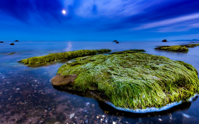 Nature. Desktop wallpaper