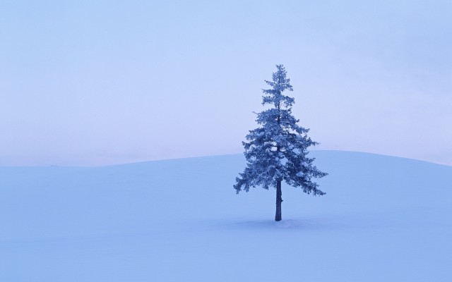 Nature. Desktop wallpaper