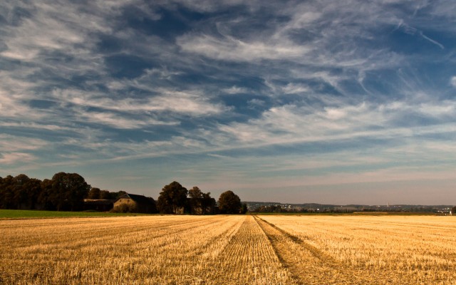 Nature. Desktop wallpaper